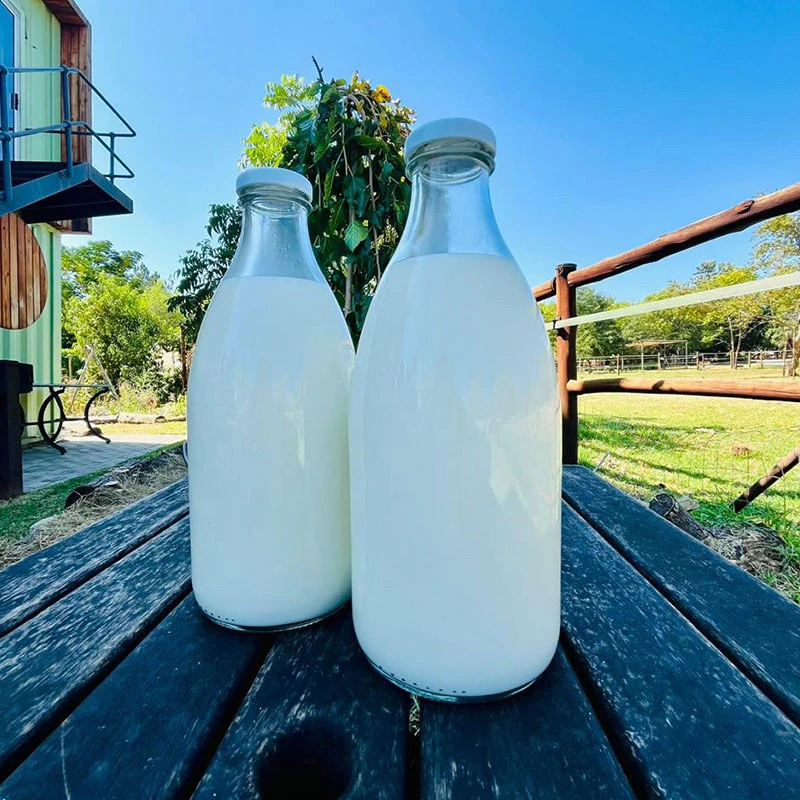 Fresh Milk